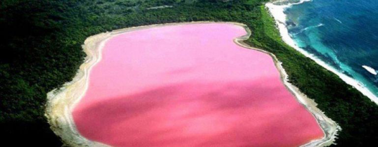 Voyez la vie en rose avec le lac Hillier