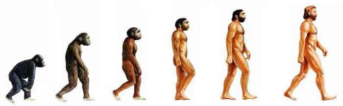 Evolution du singe à l’homme, par Stephen Baxter